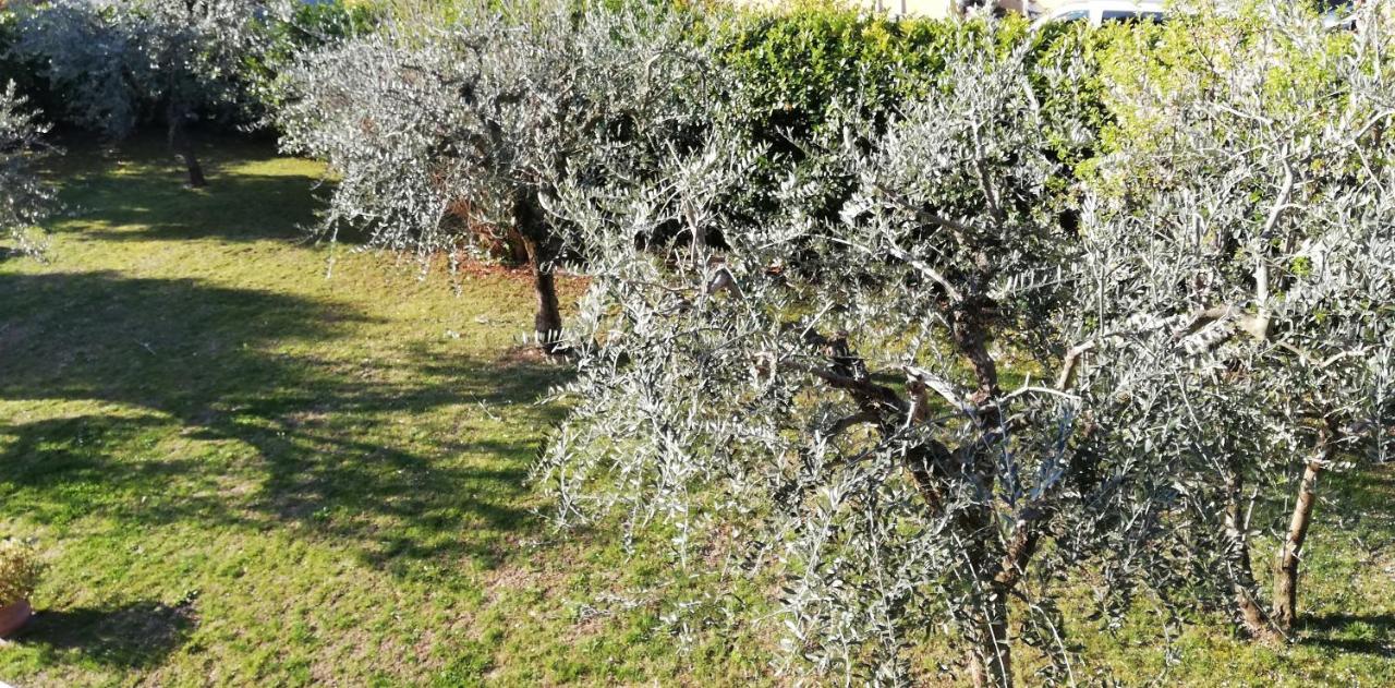 Il Melograno Bed and Breakfast Garda  Exteriör bild